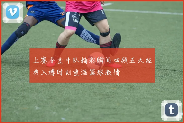 上赛季金牛队精彩瞬间回顾五大经典入樽时刻重温篮球激情
