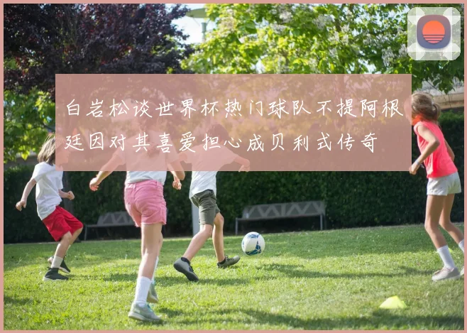 白岩松谈世界杯热门球队不提阿根廷因对其喜爱担心成贝利式传奇